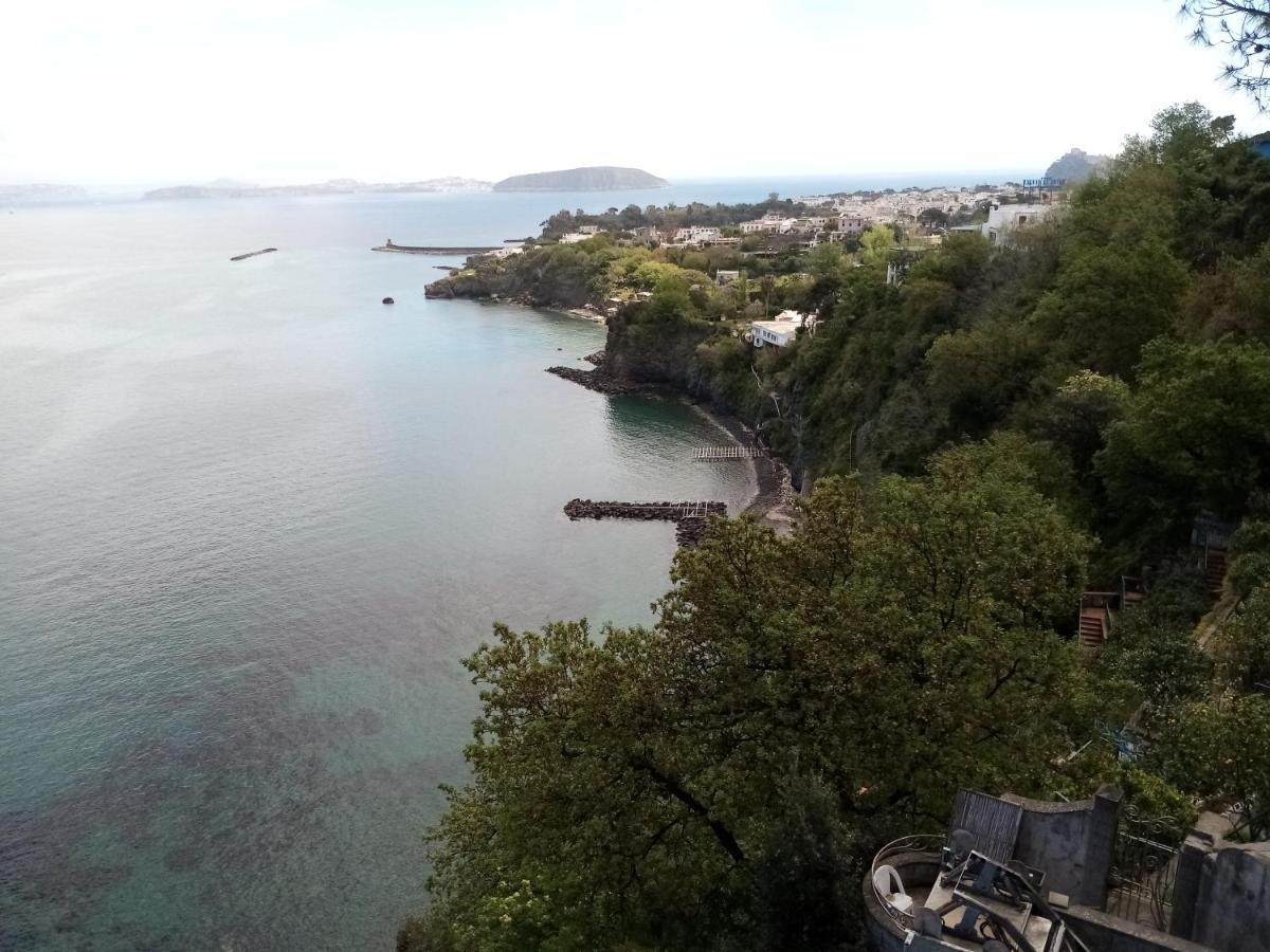 L'Incanto Suites Ischia Casamicciola Terme Exteriör bild